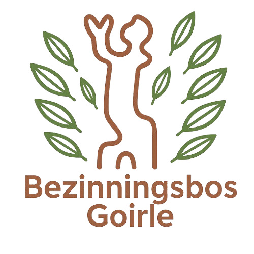 Logo - Transparant - Klein-1